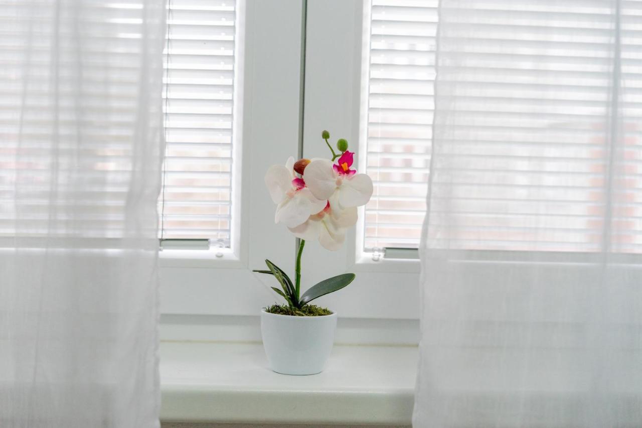 Praskova 12 Appartement Olomouc Buitenkant foto